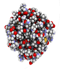 Fibroblasts